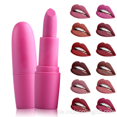 25 Farben Matte Professional Custom Matte Vintage Lippenstift